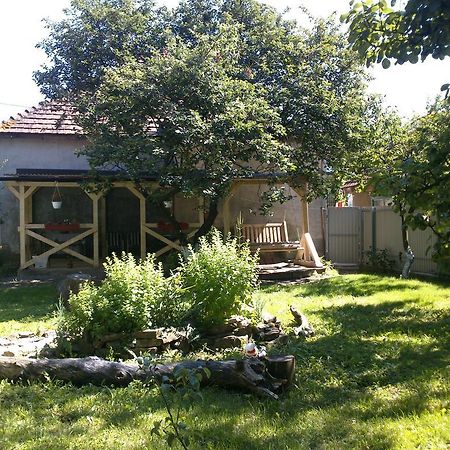 سفاليافا Villa Svalyavа المظهر الخارجي الصورة