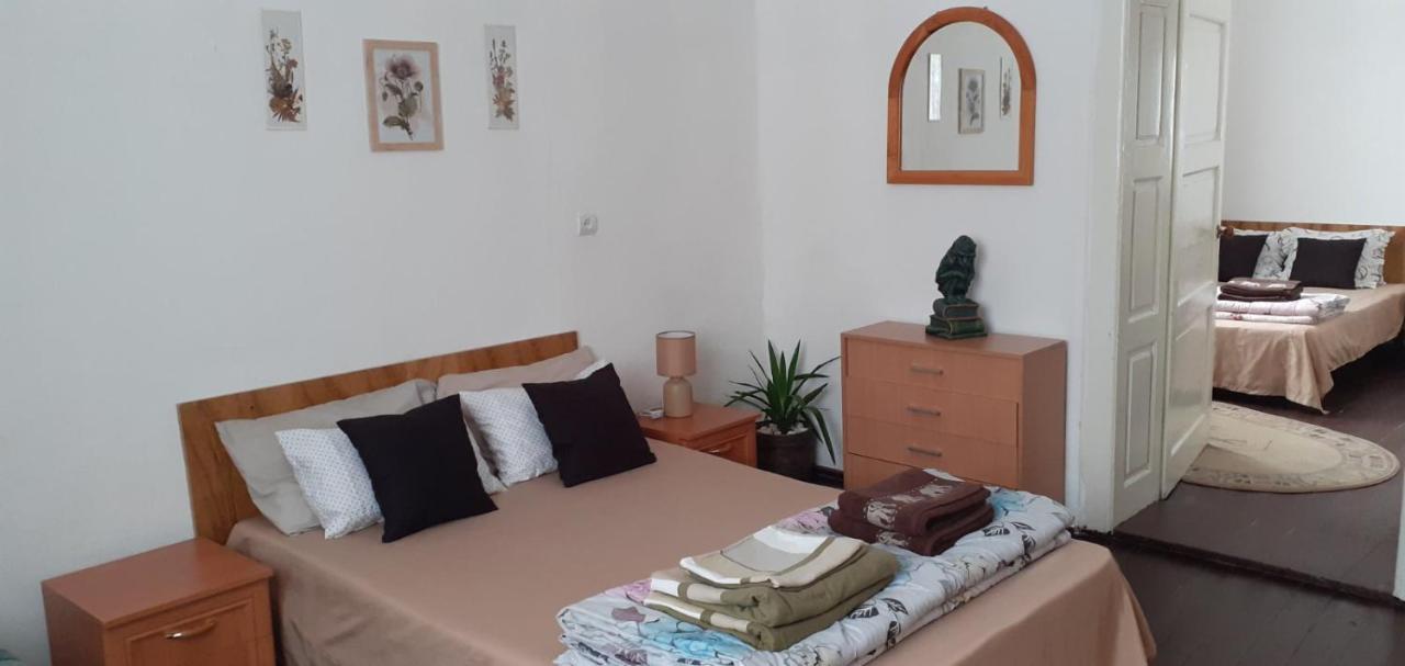 سفاليافا Villa Svalyavа المظهر الخارجي الصورة