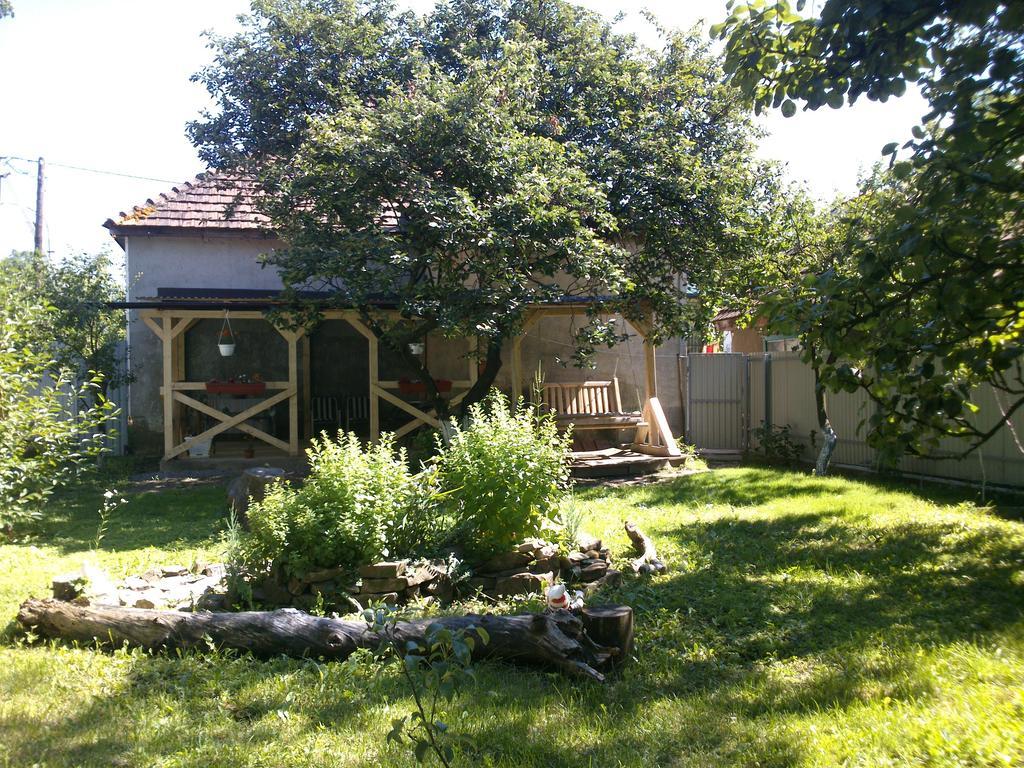 سفاليافا Villa Svalyavа المظهر الخارجي الصورة